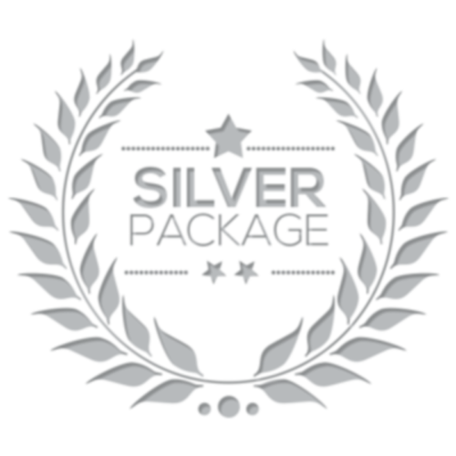 Silver Package: Includes one class per week